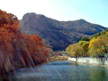 澳门二四六天天彩图库，通灵少年